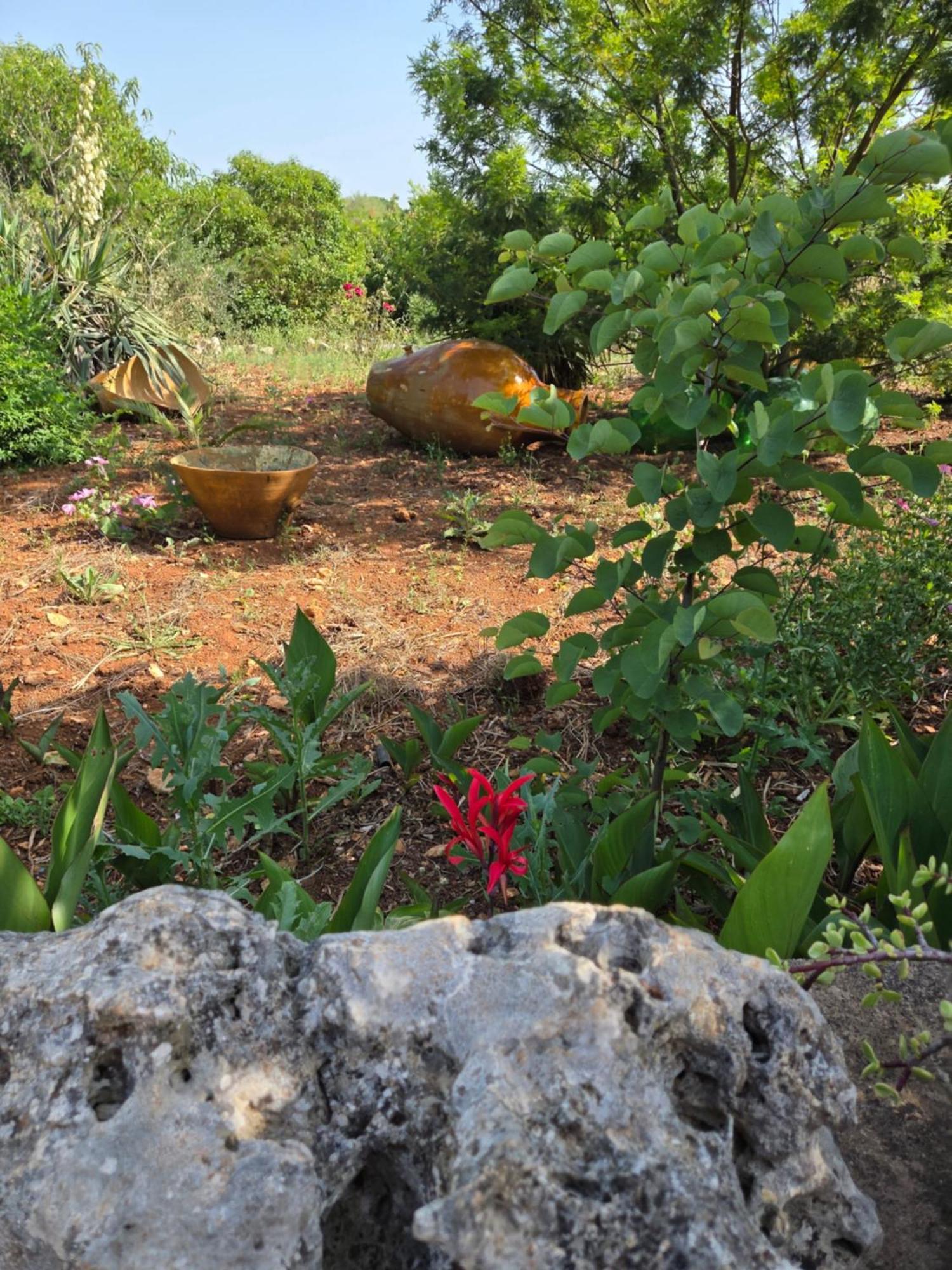 Beltrullo Pietrevive Apartman Martina Franca Kültér fotó